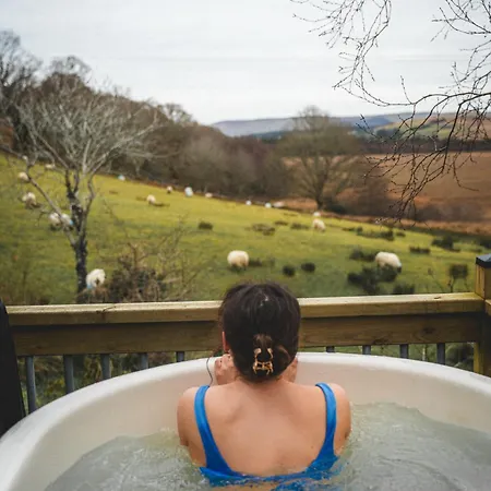 Eagle's Nest Connemara And Apartamento Westport