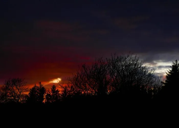 Eagle's Nest Connemara And Apartament