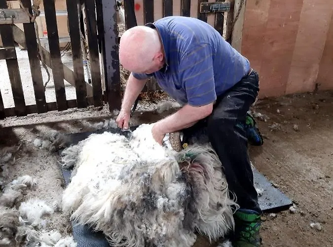 Eagle's Nest Connemara And *