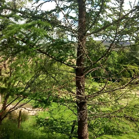 Eagle's Nest Connemara And Westport