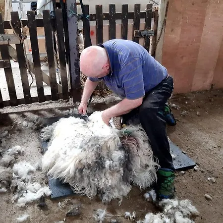 Eagle's Nest Connemara And *
