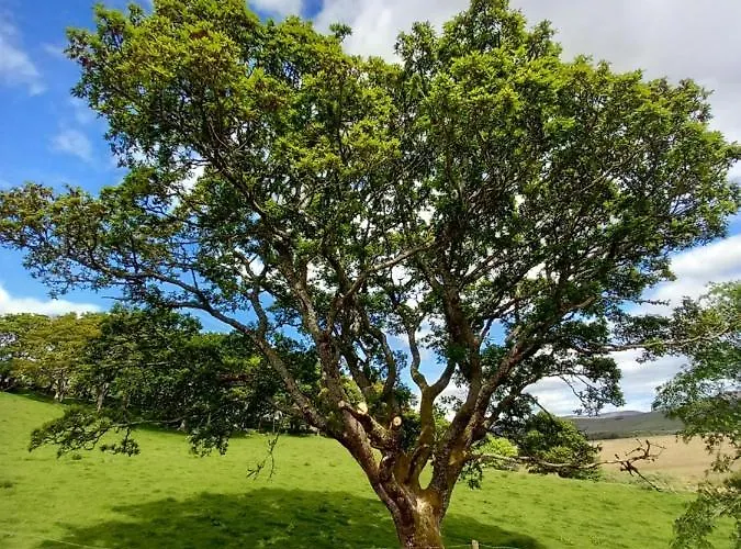 Eagle's Nest Connemara And *