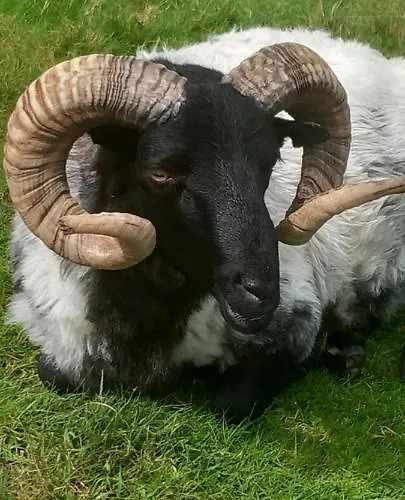 Eagle's Nest Connemara And Westport