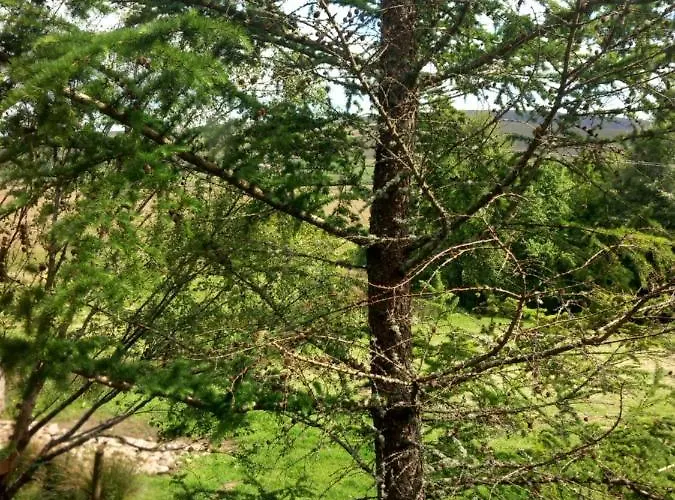 Eagle's Nest Connemara And Westport