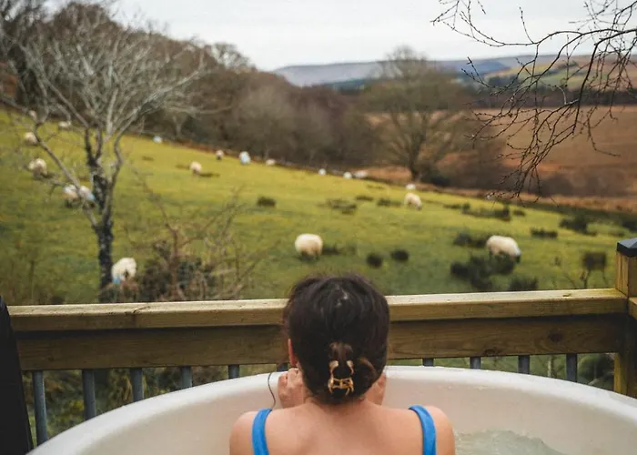 Eagle's Nest Connemara And Lägenhet Westport