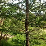 Eagle's Nest Connemara And Westport